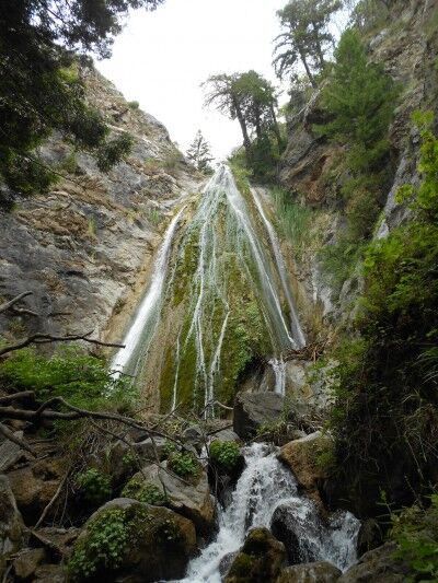 Limekiln Falls at Limekiln State Park California