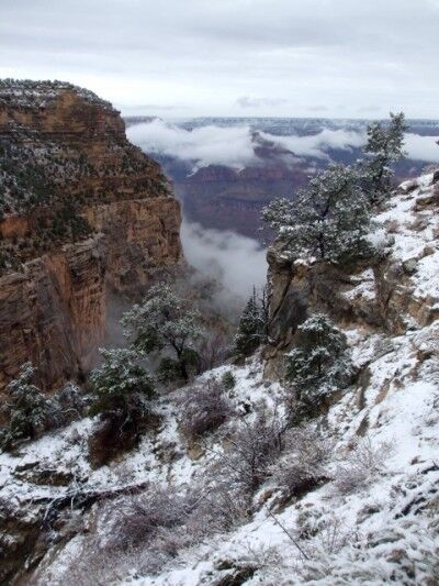 snow at the Grand Canyon in winter