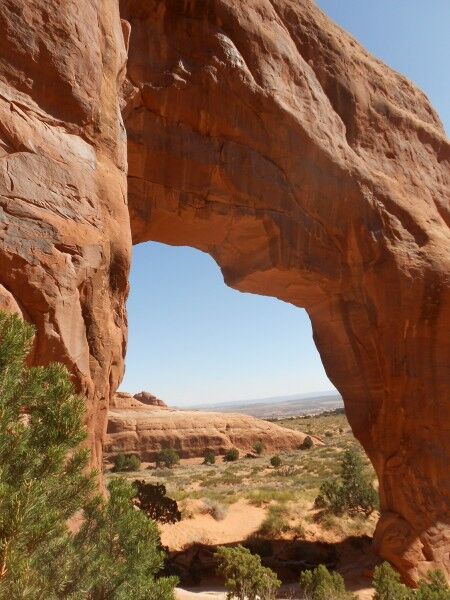 pinetree arch Arches National Park