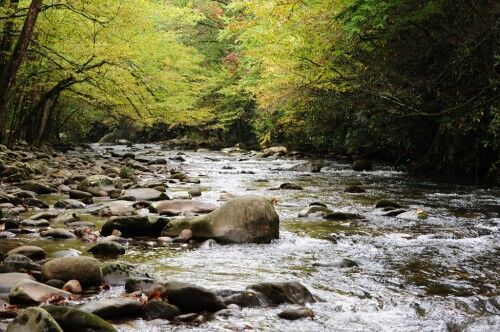 Great Smoky Mountains national park