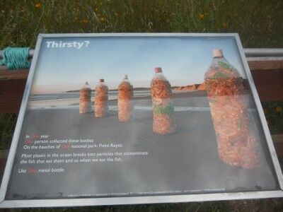 Thirsty Point Reyes National Seashore