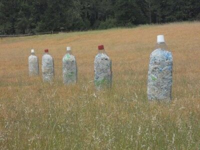 year worth of plastic found Point Reyes National Seashore