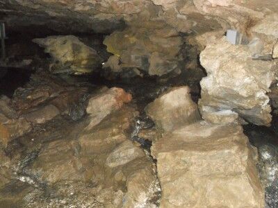 Oregon Caves river