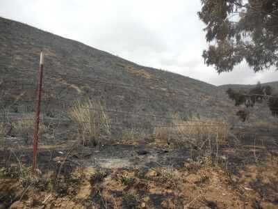 Highway 146 fire near Pinnacles National Mounument
