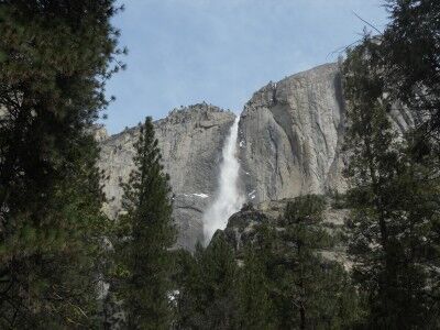 Yosemite Upper Falls from valley lower falls trail