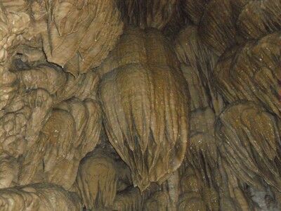 Close-up of Paradise Lost at Oregon Caves