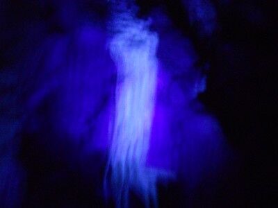 Angel Falls under black light at Oregon Caves National Monument