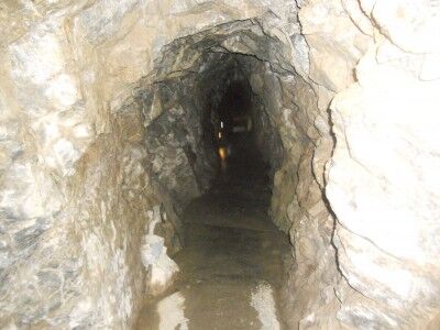 The exit tunnel for Oregon Caves National Monument