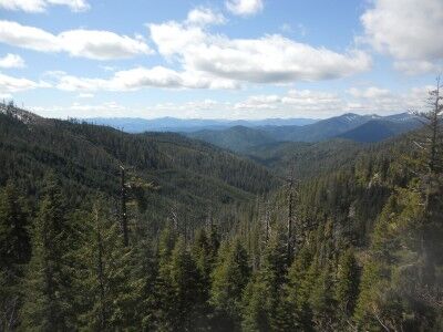 The view at the top of Cliff Nature Train at Oregon Caves National Monument