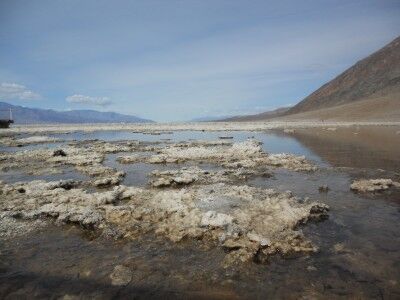 Death Valley Badwater Spring