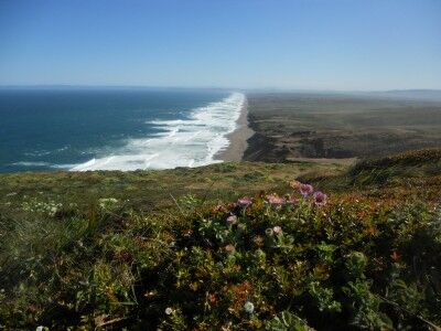 View from the Point Reyes lighthouse parking lot over the ocean