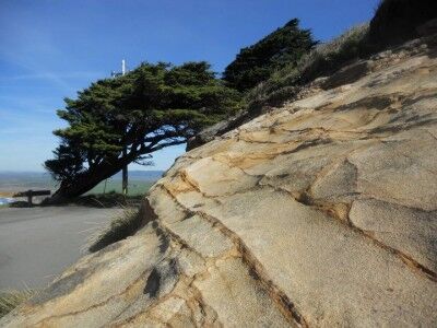 Rocks and trees Point Reyes Lighthouse National Seashore