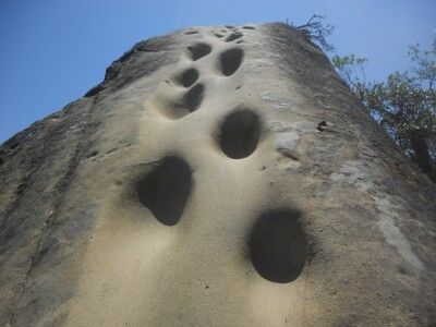 steps that lead to the top of Wind Caves at Mt. Diablo state park