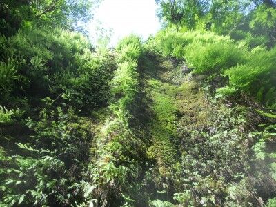 A moss covered waterfall into Fern Canyon at Redwood National Park