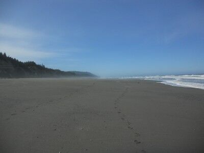 Gold Bluffs Beach in Redwood National Park