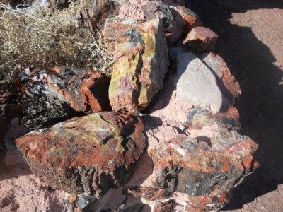 Petrified wood used to build Agate House at Petrified Forest National Park