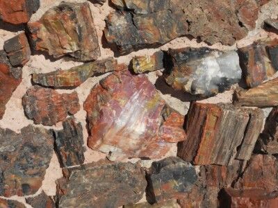 Petrified wood used in building Agate House at Petrified Forest National Park