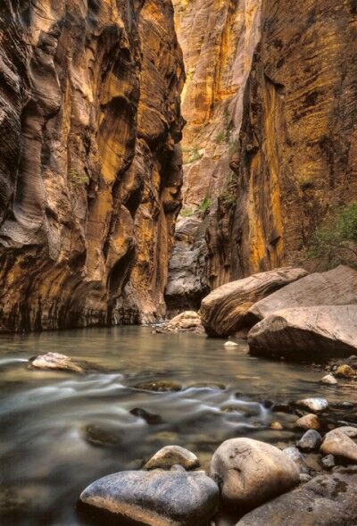 Virgina Rivers Narrows at Zion National Park 2010 Photo winner