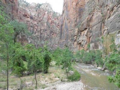 Riverside Walk in Zion National Park