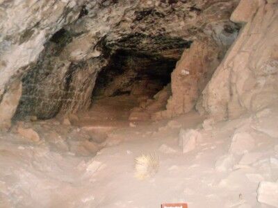 view of Stanton's cave through restricting bars