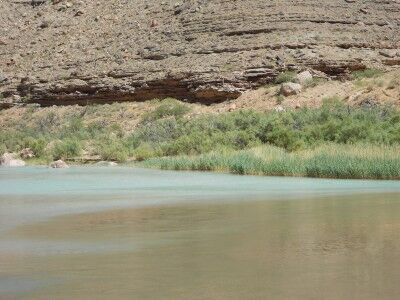 Little Colorado River confluence Meeting of the Colorado River and Little Colorado River