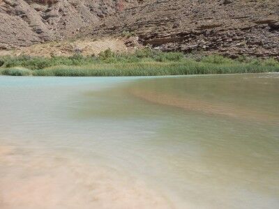 Little Colorado and Colorado River meet