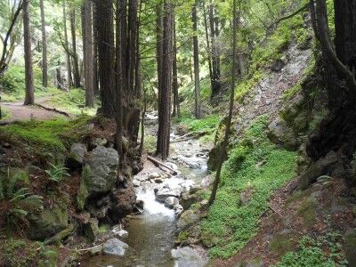 Limekiln Creek at Limekiln State Park California