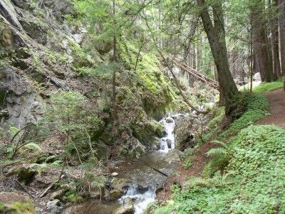 West Fork Creek Limekiln State Park California