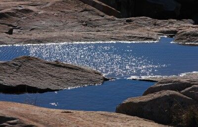 Acadia Schoodic Peninsula tide pools