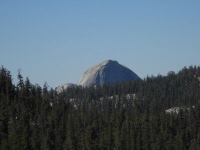 Half Dome behind forest