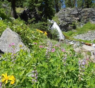 Plaikni Falls with wildflowers at Crater Lake National Park