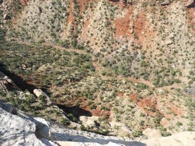 looking over the edge at Cold Shivers Point at Colorado National Monument