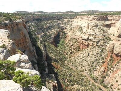 view from Cold Shivers Point in Colorado National Monument