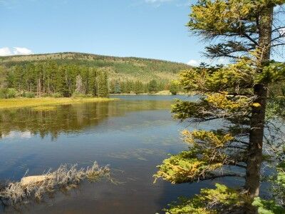 Sprague Lake at Rocky Mountain National Park