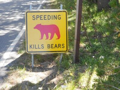 speeding kills bears sign Yosemite national park