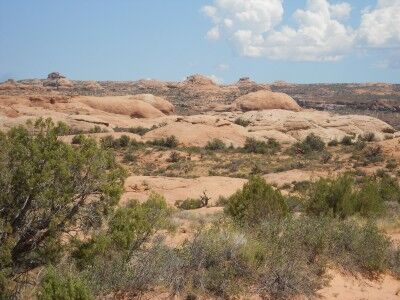 ancient sand dunes that have been petrified at Arches National Park