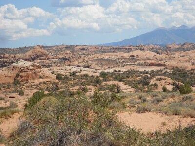 petrified sand dunes at Arches National Park