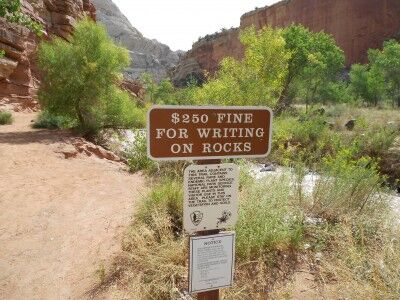 anti-graffiti sign in National Park