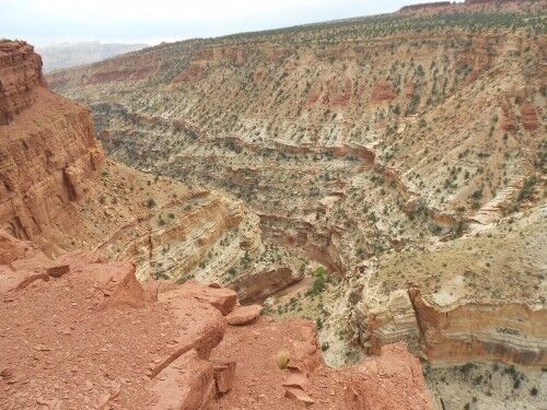 goosenecks at capitol reef