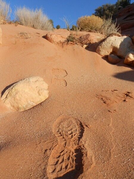 wire pass foot print