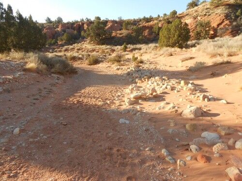 wire pass trail