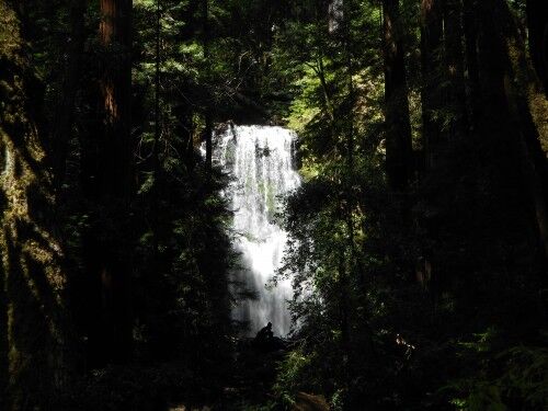 Berry Creek Falls