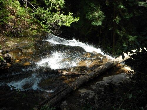 Berry Creek Falls top