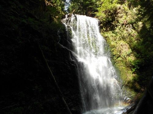 Big Basin waterfall