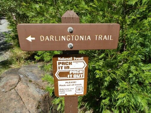 Darlingtonia trail trailhead