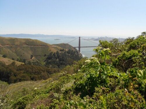Hawk Hill Golden Gate