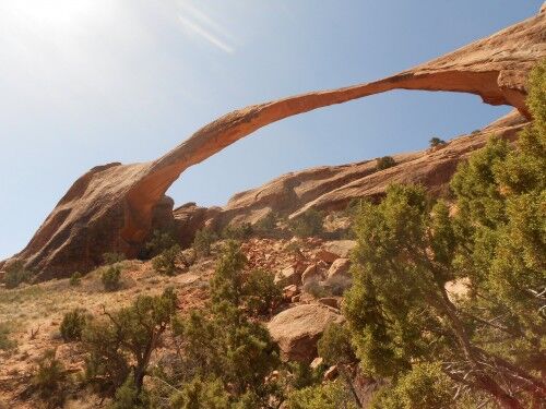 Landscape Arch in Arches National Park