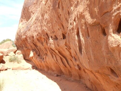 Navajo Arch trail Navajo Arch trail