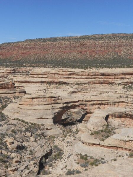 Sipapu Natural Bridges national monument