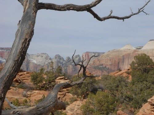 canyon overlook trail hike